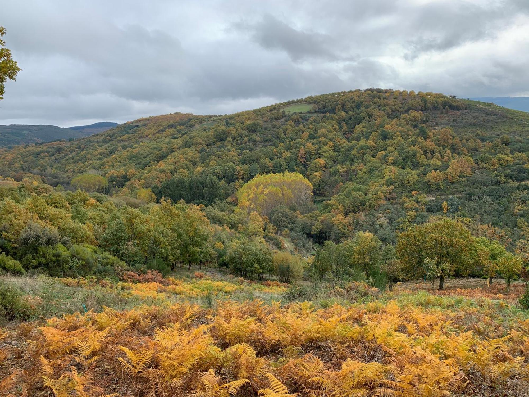 Willa Casa Do Souto - Nature & Experiences - Turismo Rural Bragança Zewnętrze zdjęcie