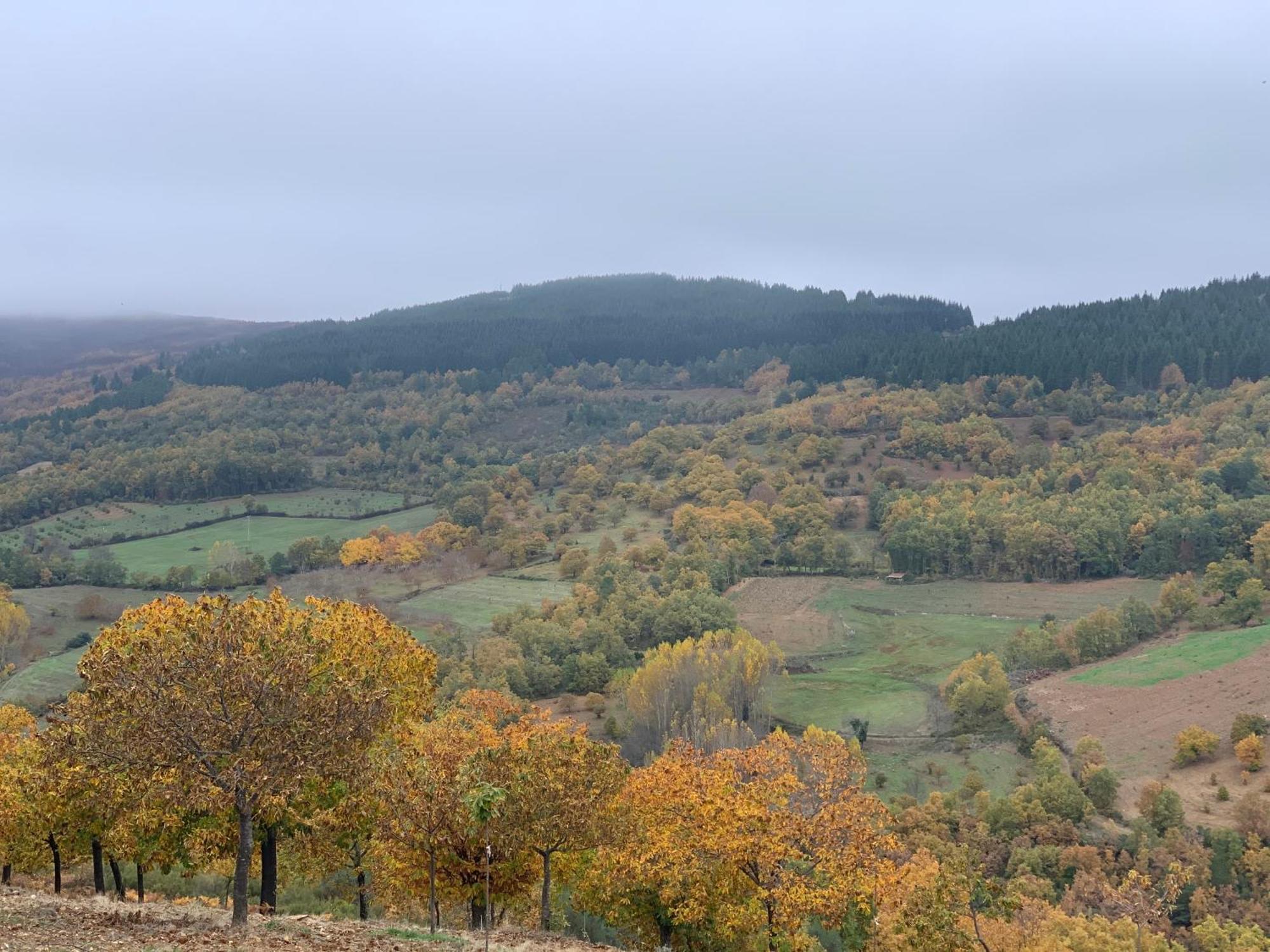 Willa Casa Do Souto - Nature & Experiences - Turismo Rural Bragança Zewnętrze zdjęcie