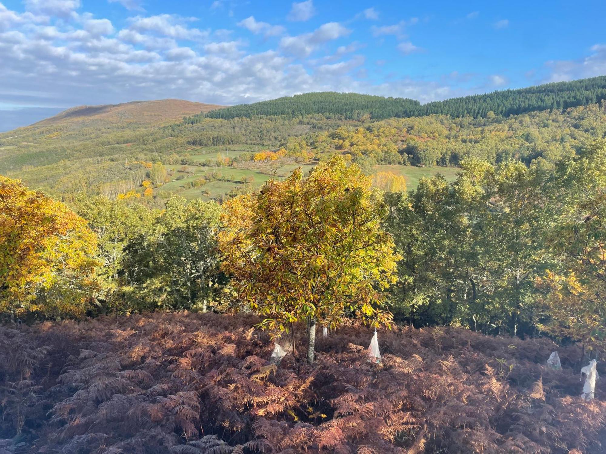 Willa Casa Do Souto - Nature & Experiences - Turismo Rural Bragança Zewnętrze zdjęcie