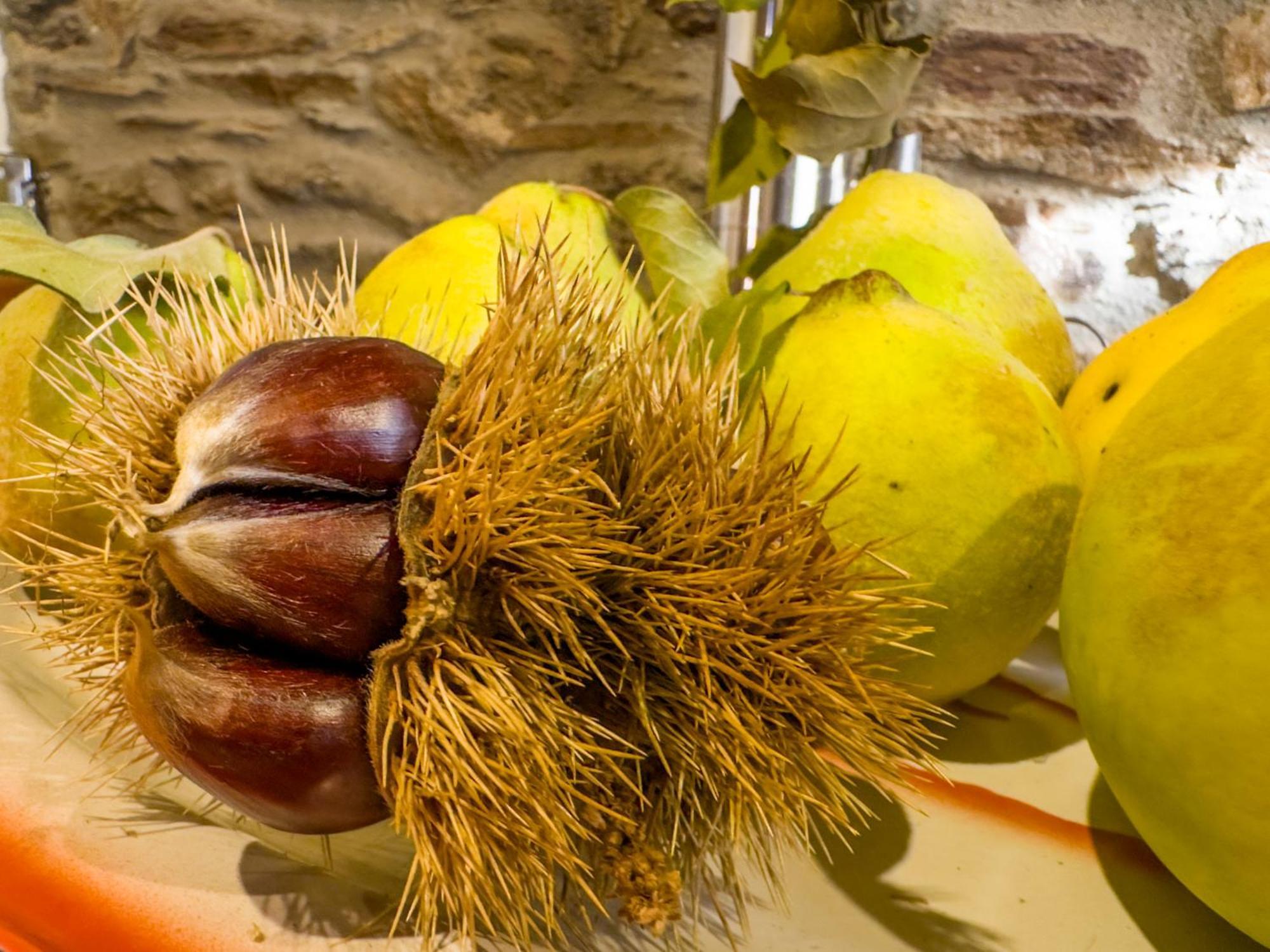 Casa Do Souto - Nature & Experiences - Turismo Rural Bragança Zewnętrze zdjęcie